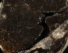 Septarian Dragon Egg Geode - Black Crystals #37293-1